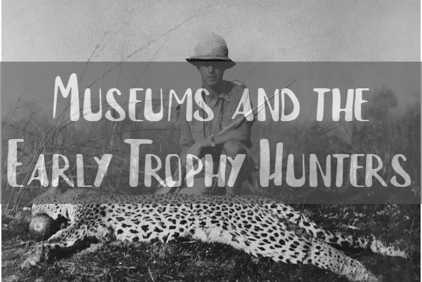 Museums and the Early Trophy Hunters