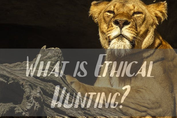 What is Ethical Hunting?